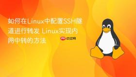 如何在Linux中配置SSH隧道进行转发 Linux实现内网中转的方法