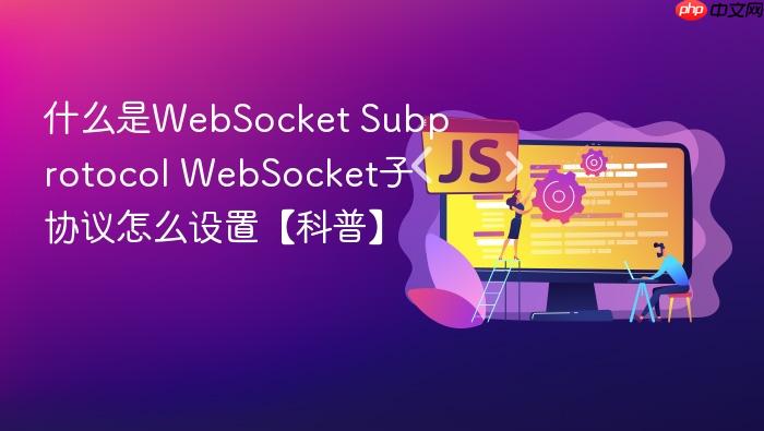 什么是websocket subprotocol websocket子协议怎么设置【科普】