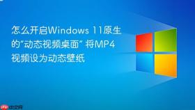 怎么开启windows 11原生的“动态视频桌面” 将mp4视频设为动态壁纸