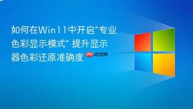如何在win11中开启“专业色彩显示模式” 提升显示器色彩还原准确度