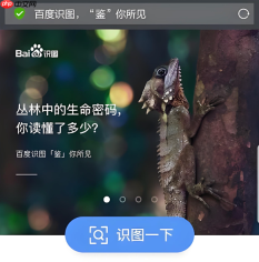百度识图在线识别入口 百度识图网页版入口直达
