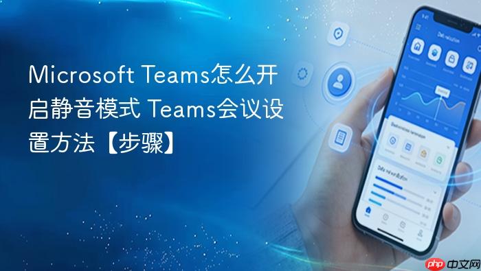 microsoft teams怎么开启静音模式 teams会议设置方法【步骤】
