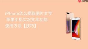 iPhone怎么提取图片文字 苹果手机实况文本功能使用方法【技巧】