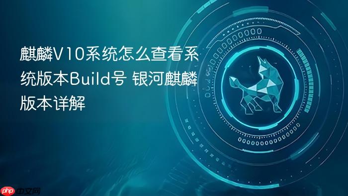 麒麟v10系统怎么查看系统版本build号 银河麒麟版本详解