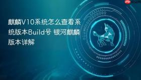麒麟V10系统怎么查看系统版本Build号 银河麒麟版本详解