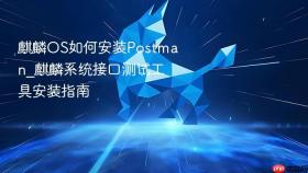 麒麟os如何安装postman_麒麟系统接口测试工具安装指南