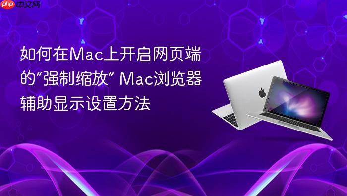 如何在mac上开启网页端的“强制缩放” mac浏览器辅助显示设置方法