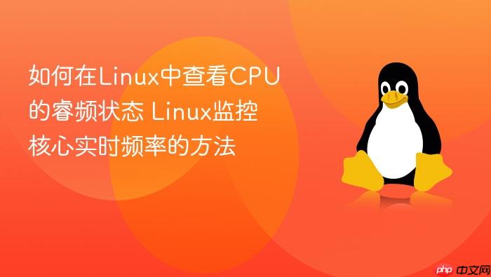 如何在linux中查看cpu的睿频状态 linux监控核心实时频率的方法