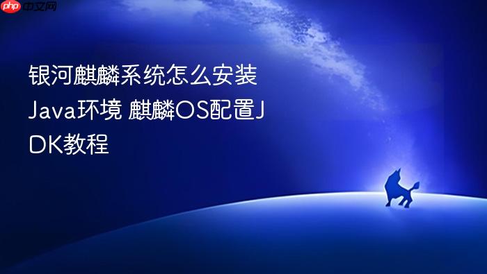 银河麒麟系统怎么安装java环境 麒麟os配置jdk教程