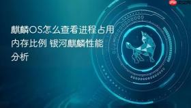 麒麟OS怎么查看进程占用内存比例 银河麒麟性能分析