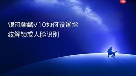 银河麒麟V10如何设置指纹解锁或人脸识别