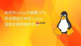 如何在linux中查看cpu的当前运行电压 linux监控主板供电的方法