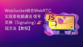 websocket结合webrtc实现音视频通话 信号交换(signaling)实现方法【教程】