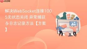 解决websocket连接1005无状态关闭 异常捕获与日志记录方法【方案】