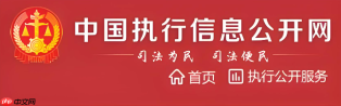 中国执行信息公开网官方入口 限制高消费名单查询系统