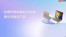 免费的网站域名DNS传播生效查询工具