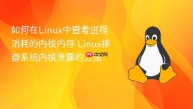 如何在linux中查看进程消耗的内核内存 linux排查系统内核泄露的方法
