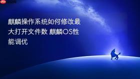 麒麟操作系统如何修改最大打开文件数 麒麟os性能调优