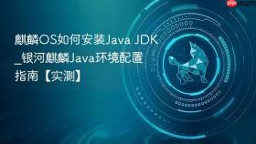 麒麟OS如何安装Java JDK_银河麒麟Java环境配置指南【实测】