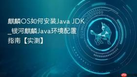 麒麟os如何安装java jdk_银河麒麟java环境配置指南【实测】