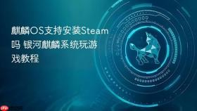 麒麟OS支持安装Steam吗 银河麒麟系统玩游戏教程