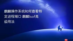 麒麟操作系统如何查看特定进程端口 麒麟lsof高级用法