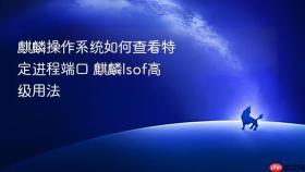 麒麟操作系统如何查看特定进程端口 麒麟lsof高级用法