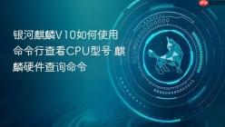银河麒麟V10如何使用命令行查看CPU型号 麒麟硬件查询命令