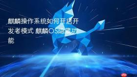 麒麟操作系统如何开启开发者模式 麒麟OS隐藏功能