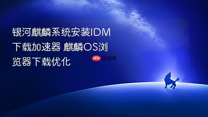 银河麒麟系统安装idm下载加速器 麒麟os浏览器下载优化