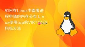 如何在Linux中查看进程申请的内存分布 Linux使用top的VIRT/RES指标方法