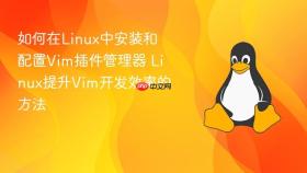 如何在Linux中安装和配置Vim插件管理器 Linux提升Vim开发效率的方法