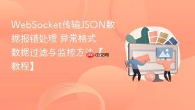 WebSocket传输JSON数据报错处理 异常格式数据过滤与监控方法【教程】