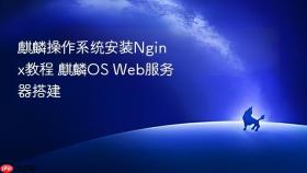 麒麟操作系统安装nginx教程 麒麟os web服务器搭建