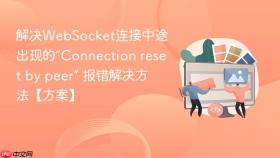 解决websocket连接中途出现的“connection reset by peer” 报错解决方法【方案】