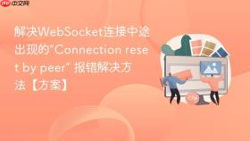 解决WebSocket连接中途出现的“Connection reset by peer” 报错解决方法【方案】