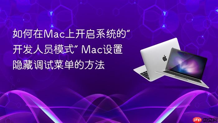 如何在mac上开启系统的“开发人员模式” mac设置隐藏调试菜单的方法