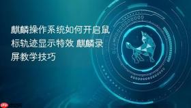麒麟操作系统如何开启鼠标轨迹显示特效 麒麟录屏教学技巧