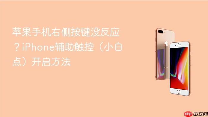 苹果手机右侧按键没反应?iphone辅助触控(小白点)开启方法