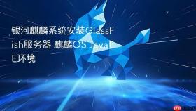 银河麒麟系统安装glassfish服务器 麒麟os javaee环境