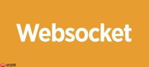 如何在nuxt3中使用websocket nuxt3服务端与客户端连接【笔记】