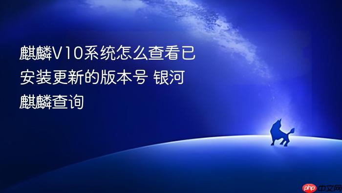 麒麟v10系统怎么查看已安装更新的版本号 银河麒麟查询