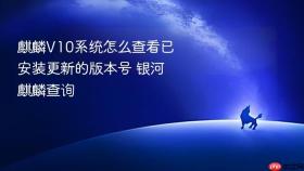 麒麟v10系统怎么查看已安装更新的版本号 银河麒麟查询