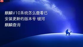 麒麟V10系统怎么查看已安装更新的版本号 银河麒麟查询