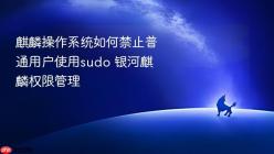 麒麟操作系统如何禁止普通用户使用sudo 银河麒麟权限管理