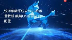 银河麒麟系统安装Rust语言教程 麒麟OS底层开发配置