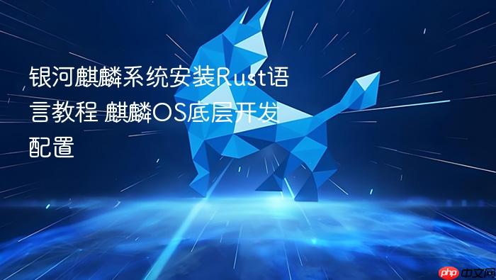 银河麒麟系统安装rust语言教程 麒麟os底层开发配置