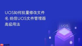 UOS如何批量修改文件名 统信UOS文件管理器高级用法