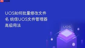 uos如何批量修改文件名 统信uos文件管理器高级用法