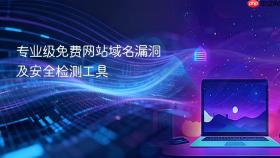 专业级免费网站域名漏洞及安全检测工具
